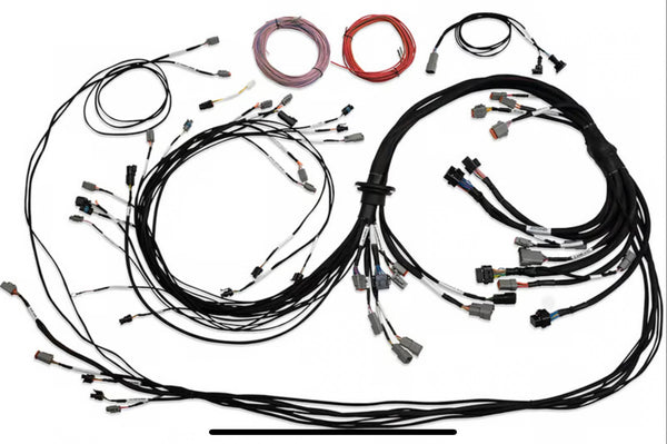 Universal V8 Terminated Engine Harness for Nexus R5 VCU