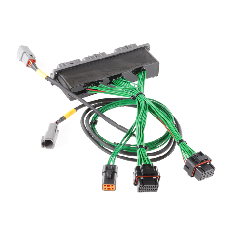 Lexus IS300 2002-2005 Jumper Harness for Haltech S3 Manual Transmission