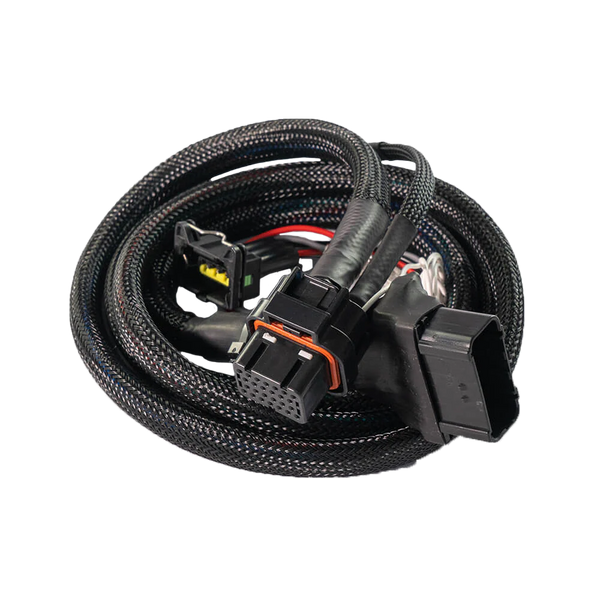FT450 OFF-ROAD SINGLE CYLINDER MINI BIKE HARNESS
