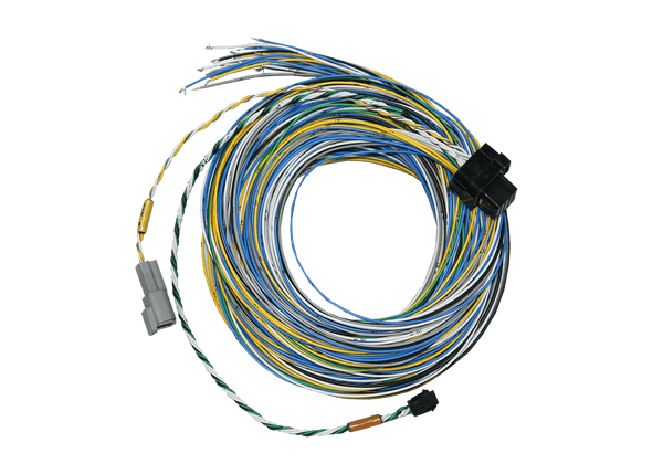 FuelTech 10ft FT550 B Unterminated Harness