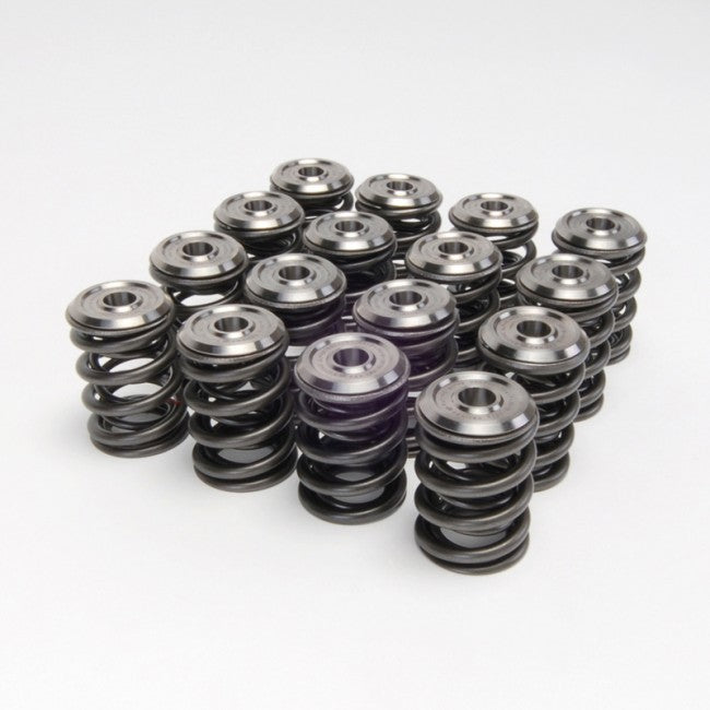 Skunk 2 Alpha Valve Spring & Ti Retainer Kit - B VTEC