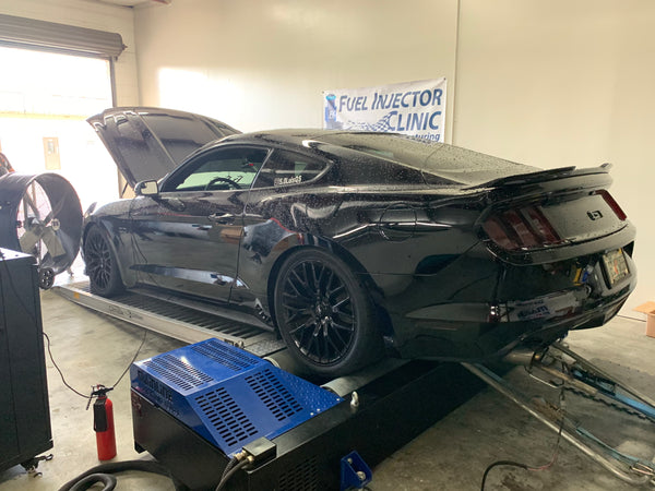 Dyno Rental